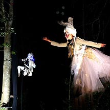 Community and Education Flying Effects