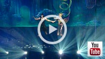 Youtube video of an aerial duet